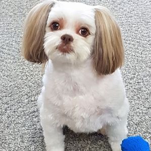 Meet your Posher, Eva